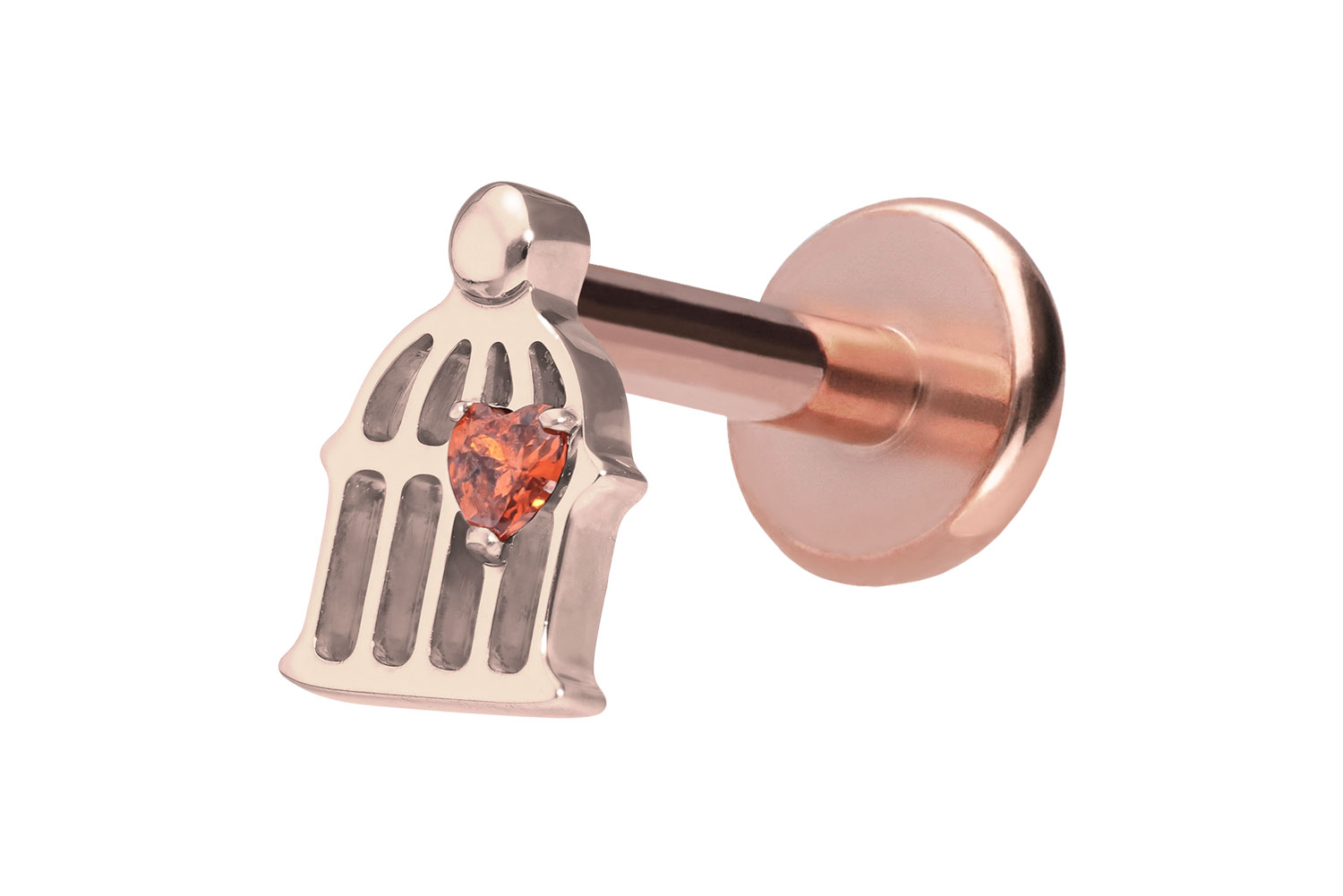 Titan Labret Piercing mit Push Fit KÄFIG